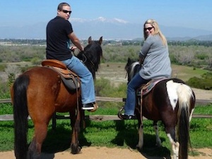 sunshine and daydreams_horseback riding