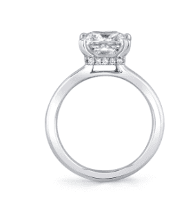 hidden halo engagement ring